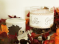 Preview: Herbst Set Hagebutte - doodle Stickdatei